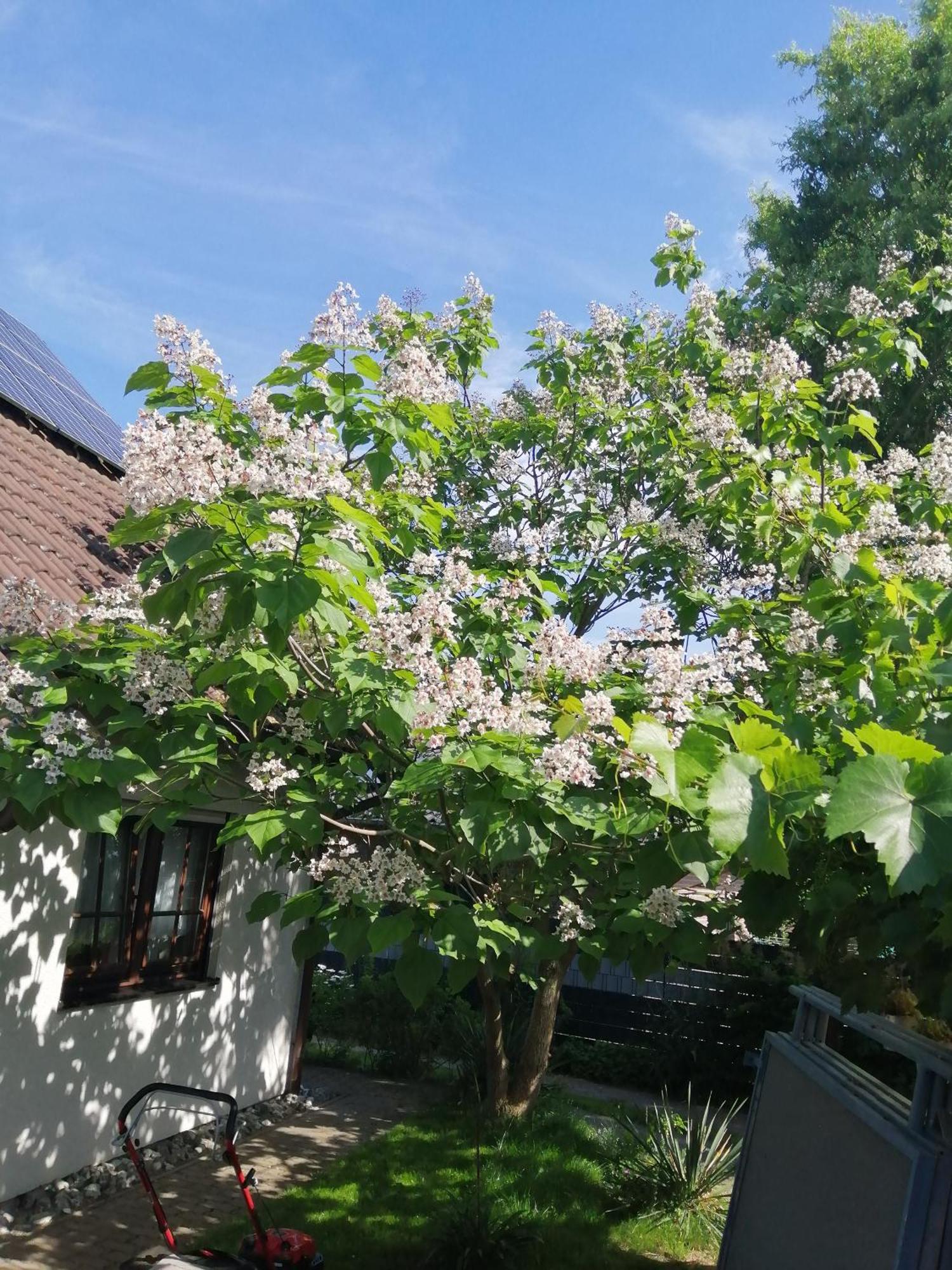 "Kleine Hedwig" Apartamento Putbus Exterior foto
